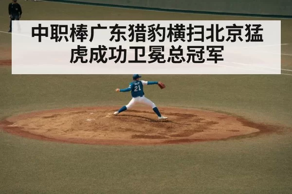 baseball pitcher throw