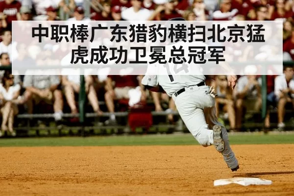 baseball championship celebration