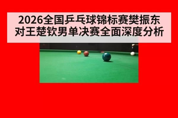 2026全国乒乓球锦标赛樊振东对王楚钦男单决赛全面深度分析